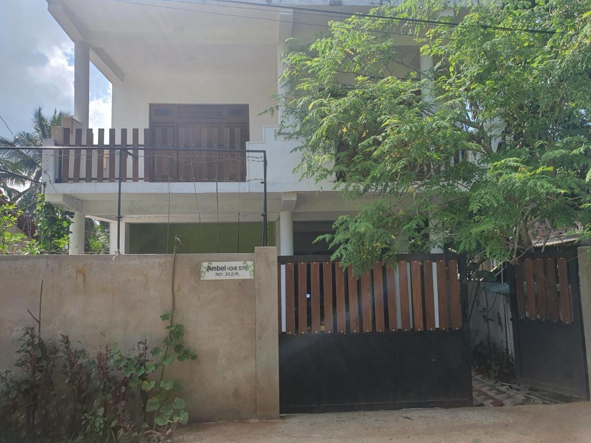 אנוראדפורה Ambel Homestay מראה חיצוני תמונה